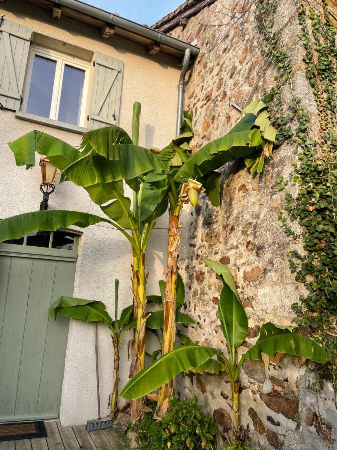 Maison Hirondelles Gites Mezieres-sur-Issoire Exterior foto